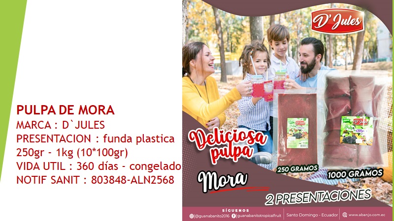 Pulpa mora