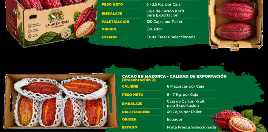 Cacao